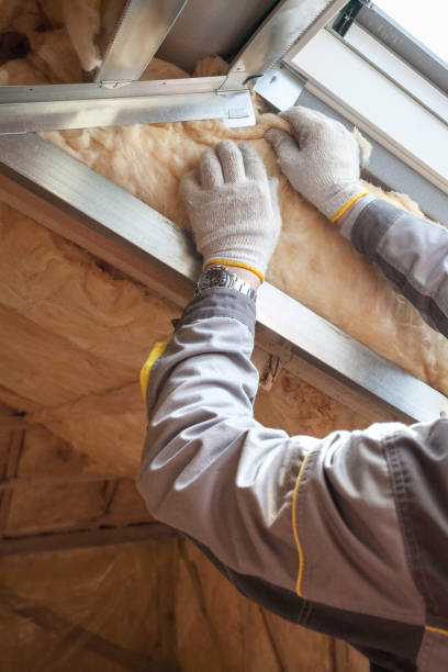 Best Attic Insulation Near Me  in Southgate, KY